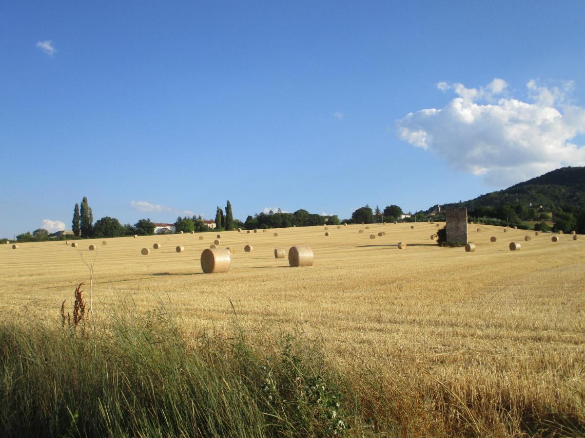 Il Risveglio Dei Sensi Vila Fossato di Vico Exterior foto